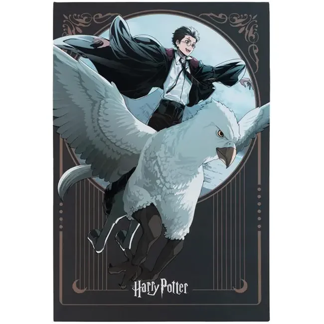 Блокнот клеєний А5 50 аркушів, клітинка, обкладинка картон, Harry Potter Kite