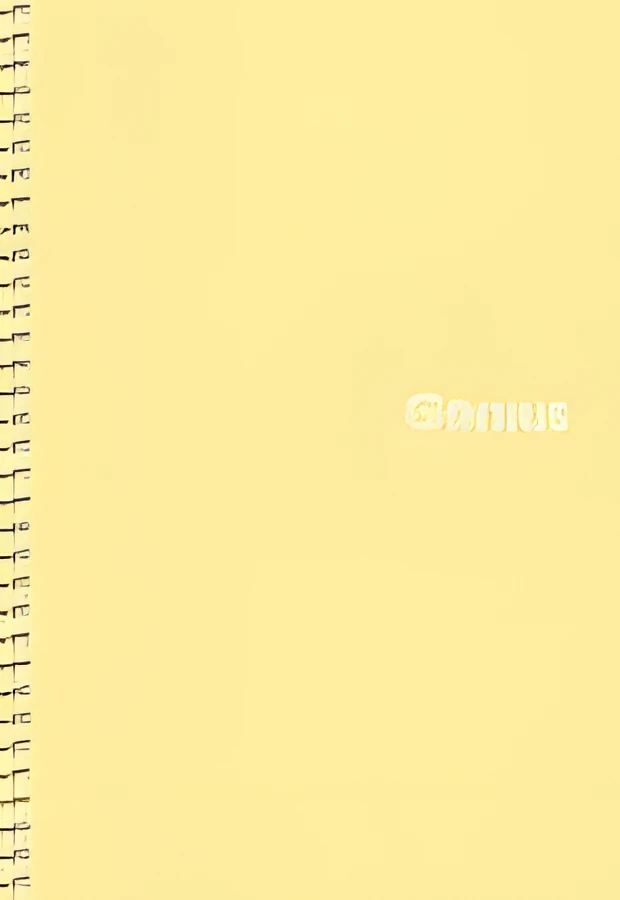 Блокнот на спіралі A5 Genius 80 аркушів клітинка пластик — Блокноти та щоденники