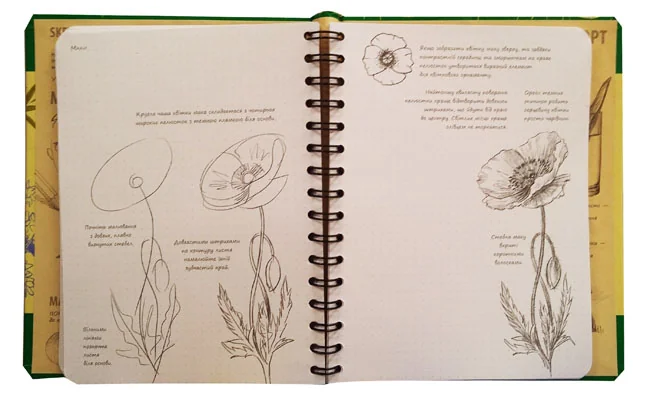 Блокнот-sketchbook.Малюємо квіти. Експрес-курс рисування. Око — фото 2