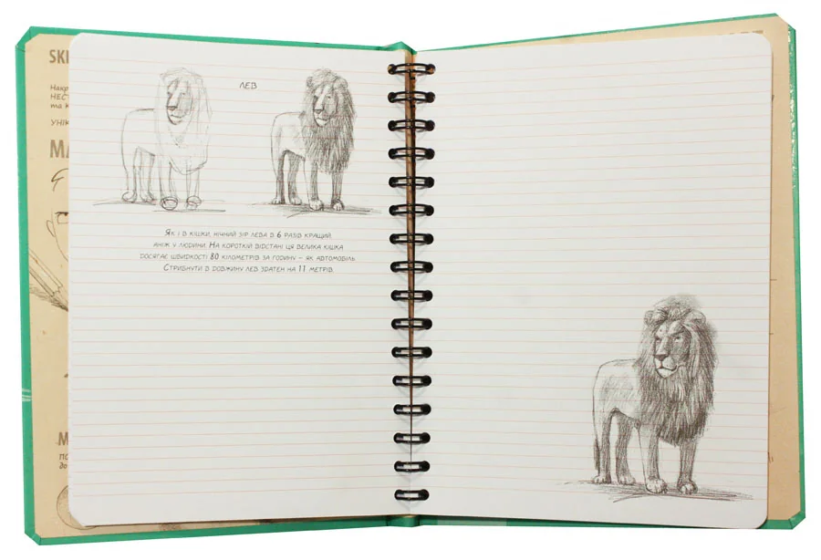 Блокнот-sketchbook.Малюємо тварин. м'ятна обкладинка. Око — фото 2