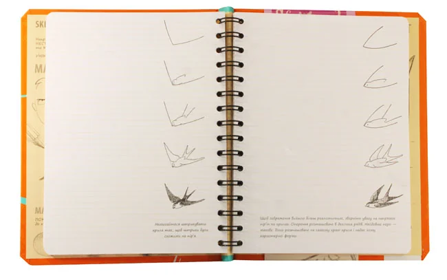 Блокнот-sketchbook.Малюємо за 30сек.Основні навички. помаранчева обкл. Око — фото 2