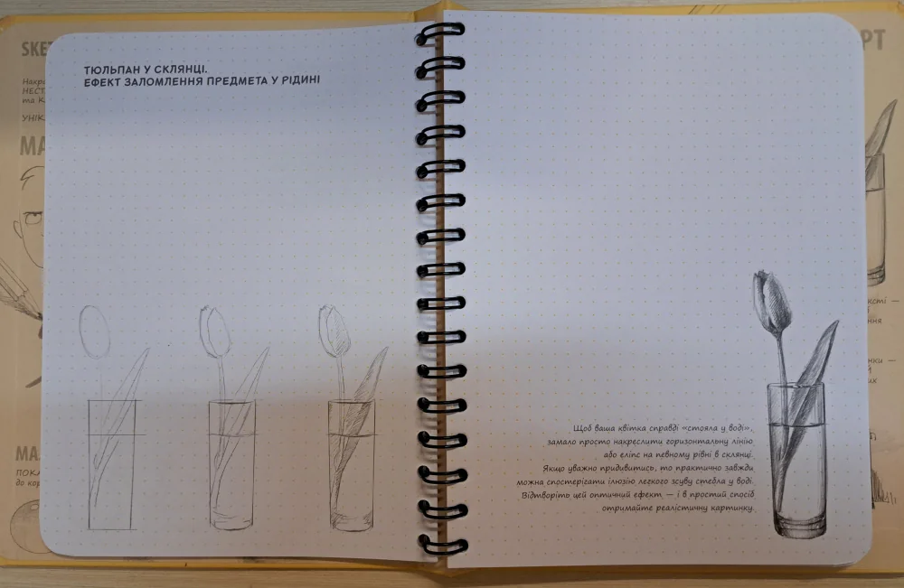 Блокнот-sketchbook.Візуальний експрес-курс рисування. жовта палітурка. Око — фото 3