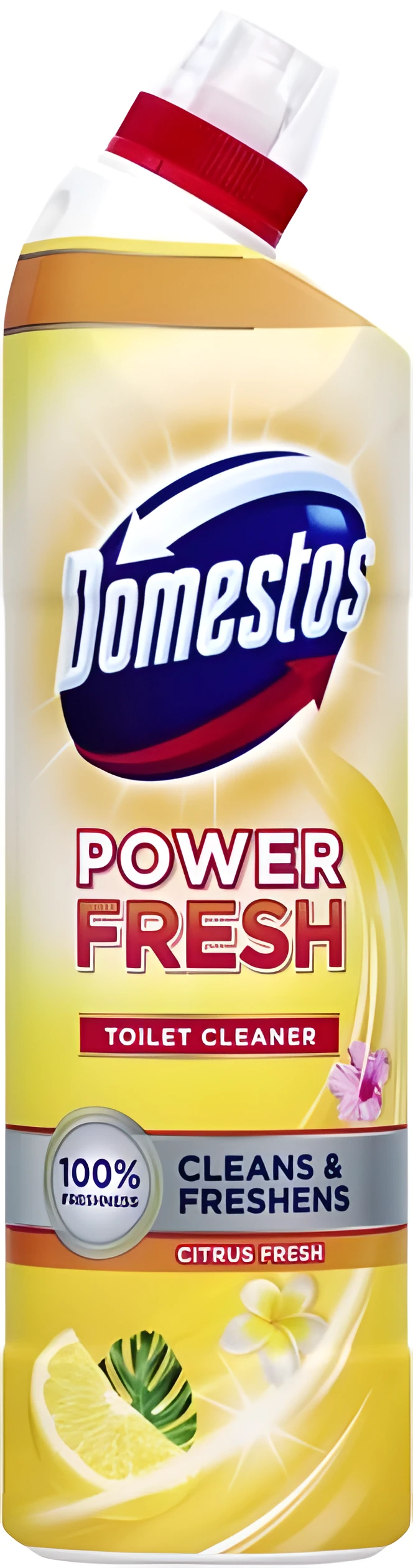 ДОМЕСТОС  ч/засіб Цитрус 700 мл