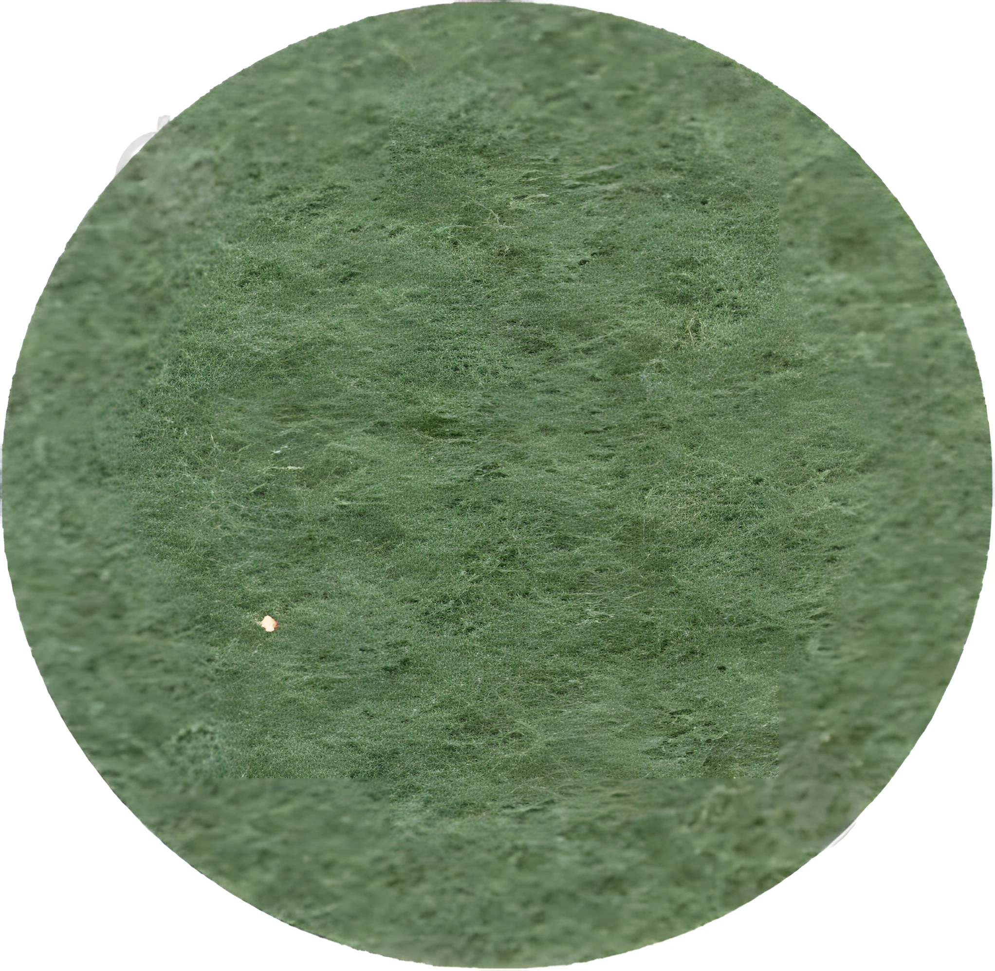 Фетр листковий (поліестер), 21,5х28 см, Зелений травяний, 180г/м2, ROSA Talent