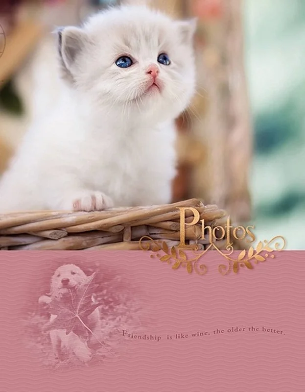 Фотоальбом на 200 фото 10х15см Cat photo — фото 3