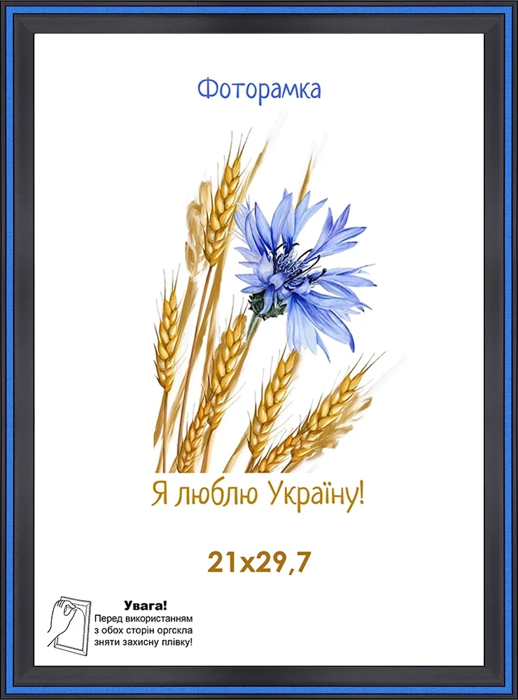 Фоторамка оргскло 21х29,7 чорний з синьою смужкою 1613-6435 — фото 2