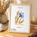 Фоторамка оргскло 21х29,7 натуральне дерево з білою смужкою 1613-6373 — фото 1
