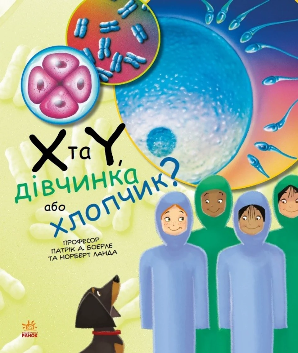 Генетика для дітей. X та Y, дівчинка або хлопчик? — фото 2