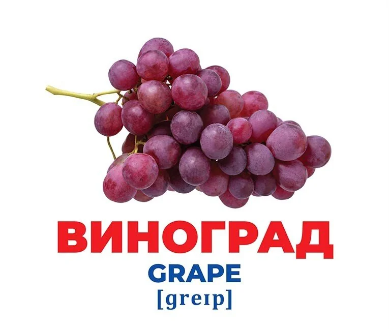 Геній з пелюшок.Фрукти та ягоди.Методика Г.Домана. 0+ Ранок — фото 3