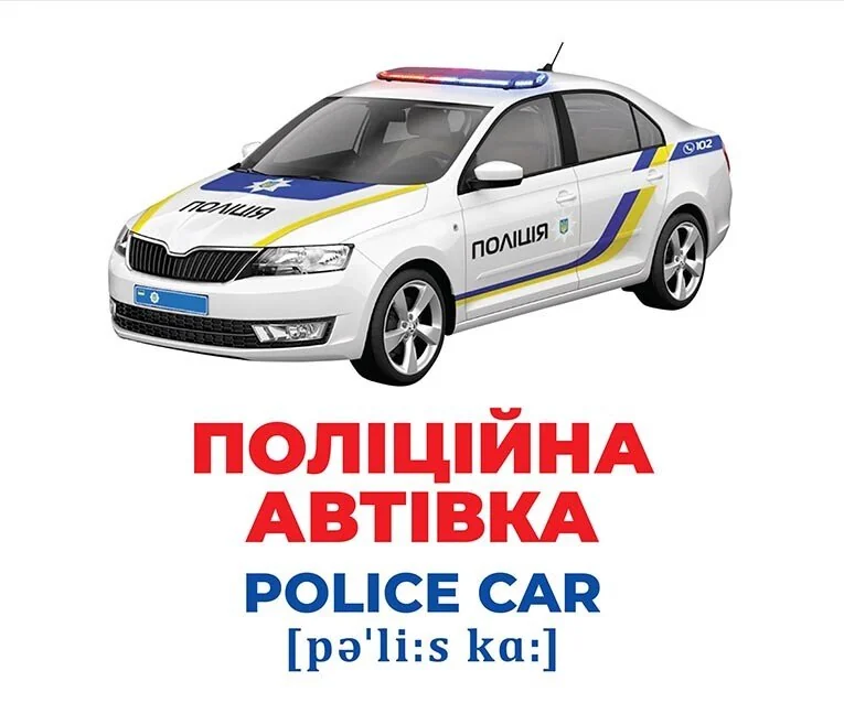 Геній з пелюшок.Спецтранспорт.Методика Домана. 0+ Ранок — фото 3