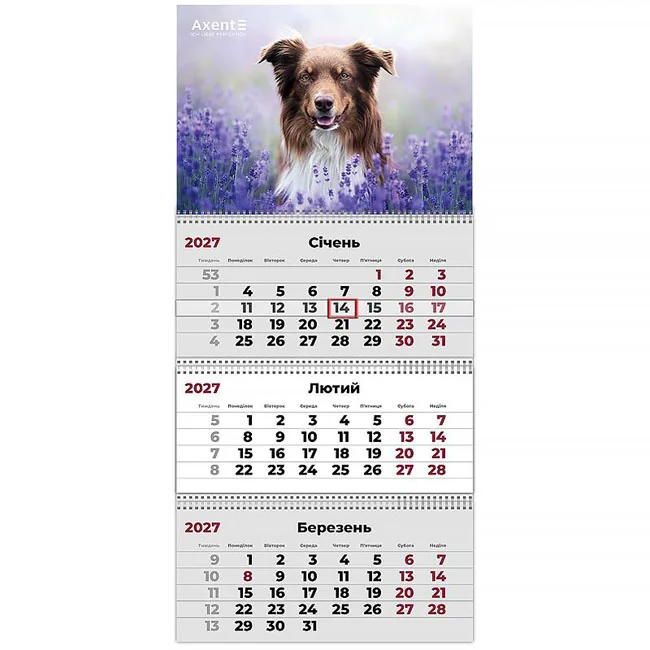 Календар настінний квартальний 297*630мм "Dogs 1" Axent