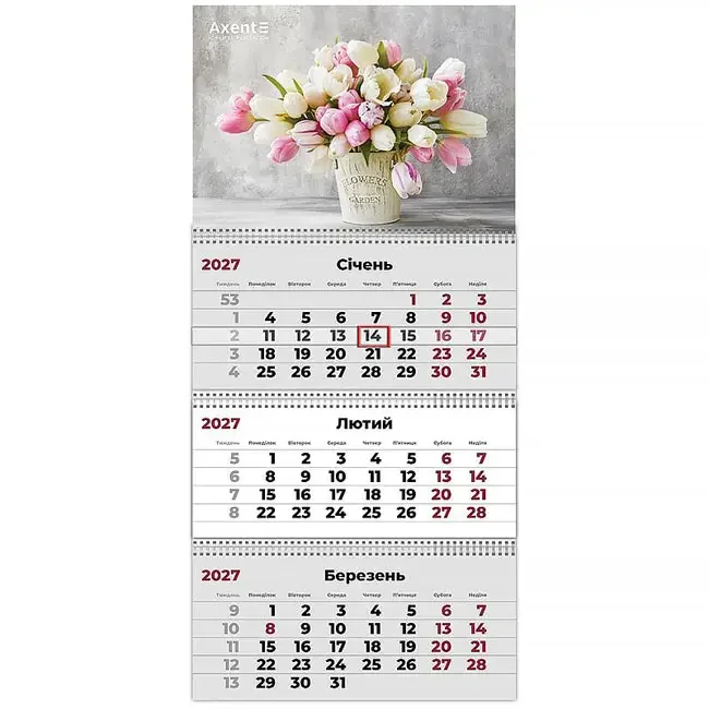 Календар настінний квартальний 297*630мм "Magic Flowers 2" Axent