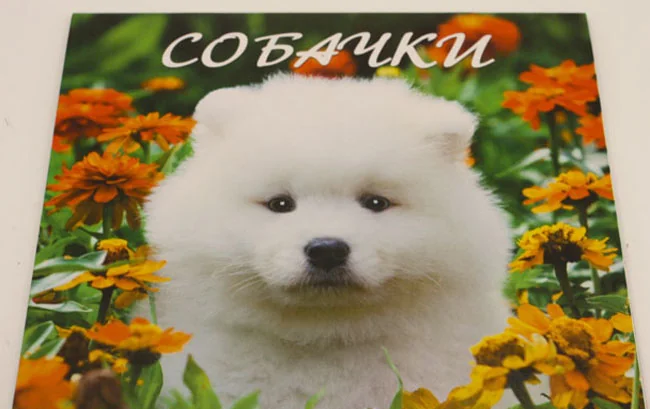 Календар настінний перекидний В5 скоба — фото 5