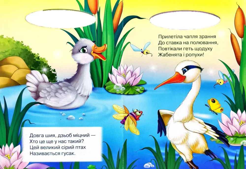 Картонка. Сонечко.Хто це на ставку. Манго — фото 2