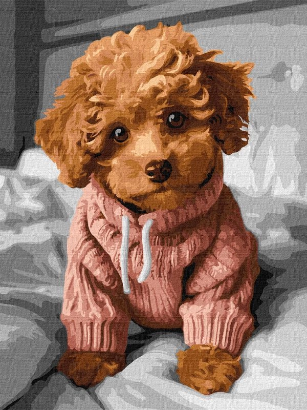 Картини за номерами Ідейка Чарівний мальтіпу 30х40см 6589 — фото 2