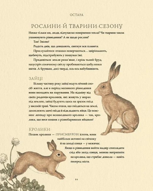 Колесо року. Ілюстрований путівник ритмами природи..Ру Дж. ArtHuss — фото 2