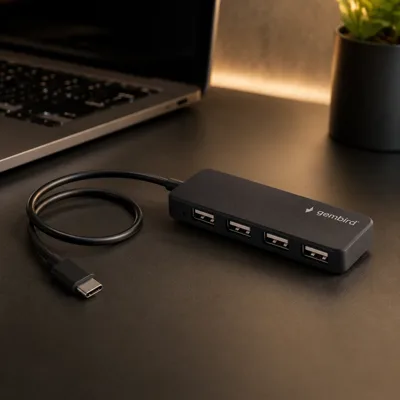 Концентратор USB Type-C Gembird 4хUSB2.0, пластик, Black (UHB-CM-U2P4-01)