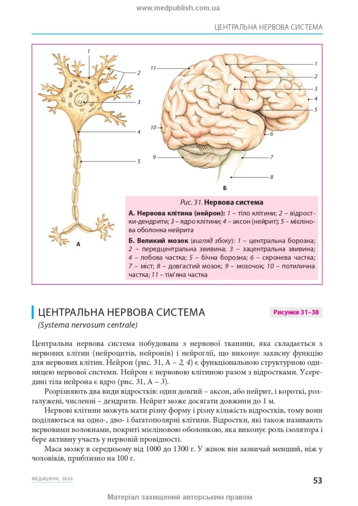 Малий атлас з анатомії.Навчальний посібник. Алєксандрович. Медицина — фото 3