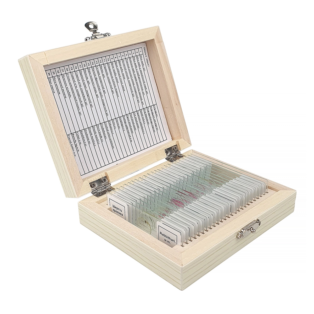 Набір мікропрепаратів SIGETA Різне 2 (25 шт.) — фото 2