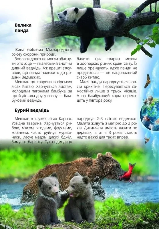Найкращий подарунок.Про все на світі маленьким українцям. Талант — фото 2