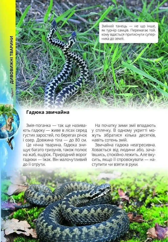 Найкращий подарунок.Про все на світі маленьким українцям. Талант — фото 3