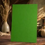 Папір для дизайну Elle Erre B1 verde, 220г/м², зелений, двостороння текстура — фото 1