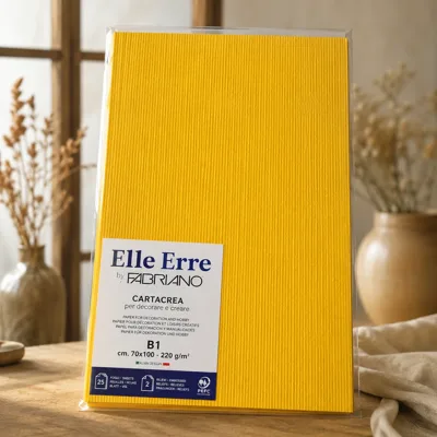 Папір для дизайну Elle Erre B1 (70*100см), №25 cedro, 220г/м2, жовтий, дві текстури, Fabriano