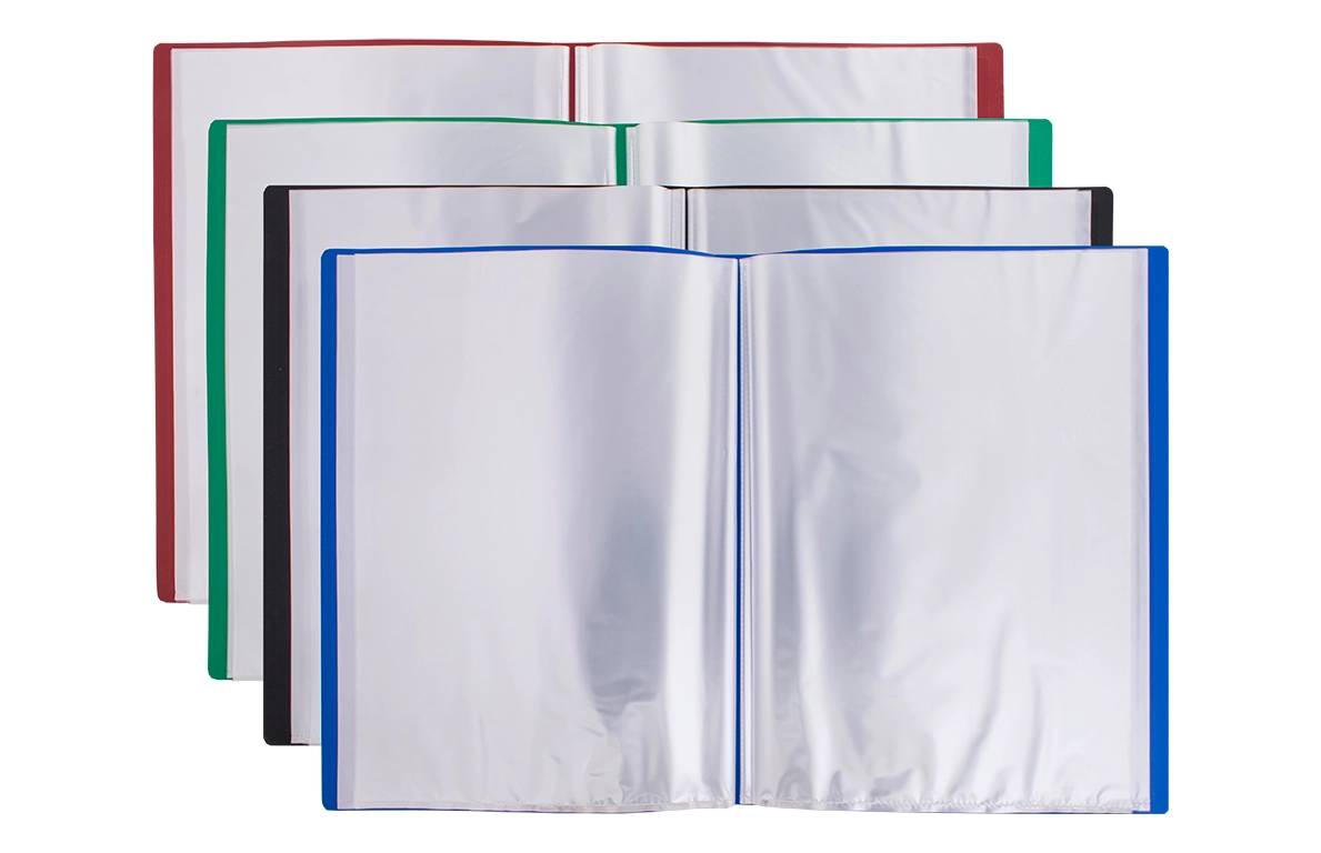 Папка 40 файлів Economix асорті — фото 3