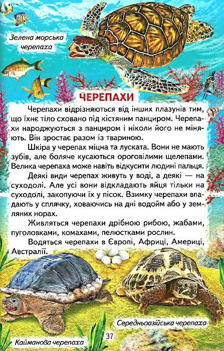 Пізнаємо світ разом. Тварини і рослини Белкар — фото 4