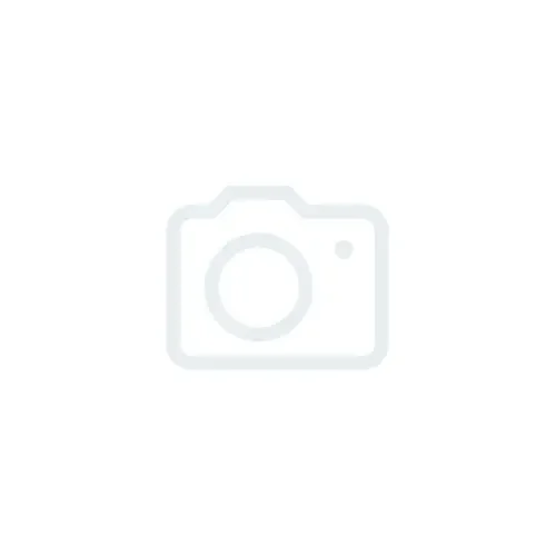 Порцелянова чашка Гуси Чехія