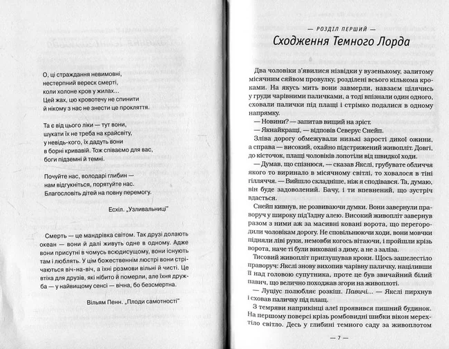 Ролінг Дж. Гаррі Поттер та Смертельні реліквії. Книга 7. А-БА-БА-ГА-ЛА-МА-ГА — фото 5