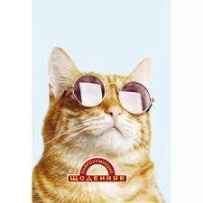 Щоденник Найрозумніший тверда обкладинка з поролоном асотрі — фото 2