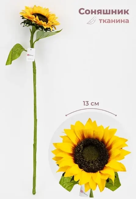 Соняшник d=13см h=66см