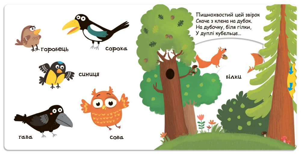 Сторінки-цікавинки.Тварини в лісі. 1+ Школа — фото 2