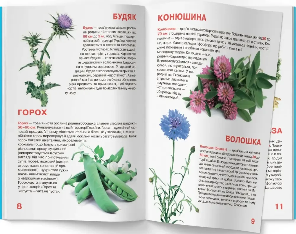 Світ навколо нас.Велика книжка.Рослинний світ України. Кристал Бук — фото 2