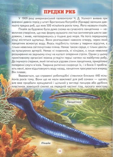Світ навколо тебе. Енциклопедія для чомучок. Книга 3 Белкар — фото 3