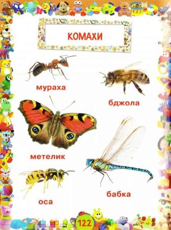 Улюблена книжка малюка від 6 місяців до 4 років. Кристал Бук — фото 3