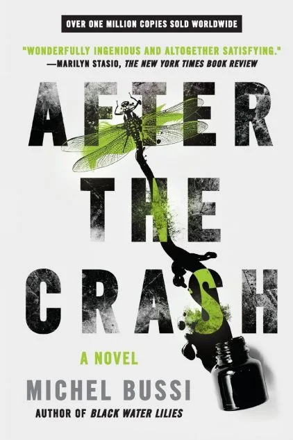 After the Crash — Orion Books