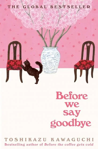 Before We Say Goodbye — Pan MacMillan