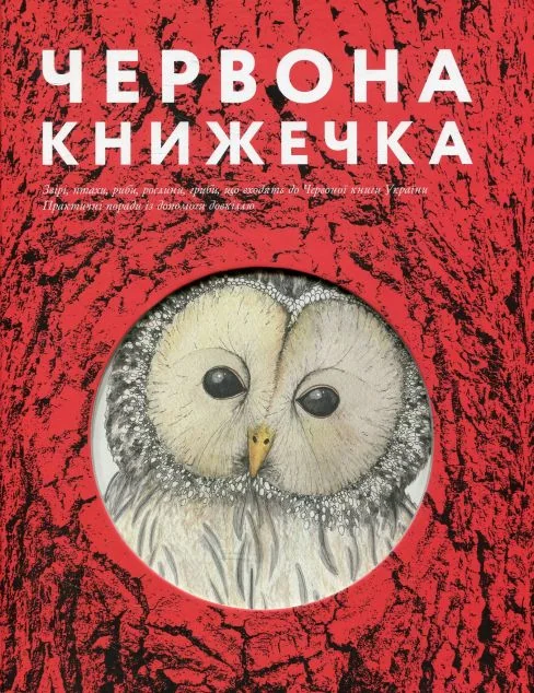 Червона книжечка — Основи