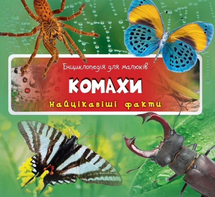 Енциклопедія для малюків. Комахи — Ірина Романенко