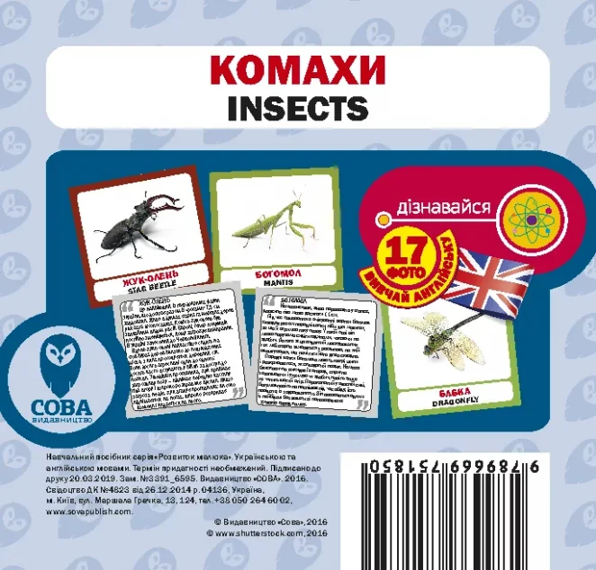 Комахи. 17 карток англійською — Сова