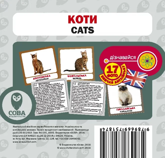 Коти. 17 карток англійською — Сова