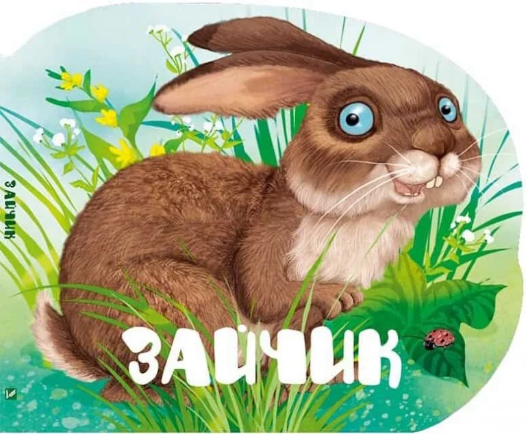 Зайчик — Марія Жученко