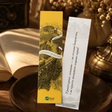 Закладинка «Крізь Дзеркала. Викрадені з Місяцесяйва. Книга 2» — фото 1