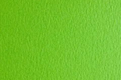 Папір для дизайну Elle Erre А4 (21×29,7см) №10 verde picello 220г/м2 салатовий Fabriano — фото 2