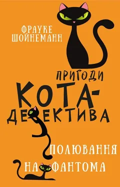 Пригоди кота-детектива Книга 7. Полювання на Фантома — Ф. Шойнеманн — фото 2