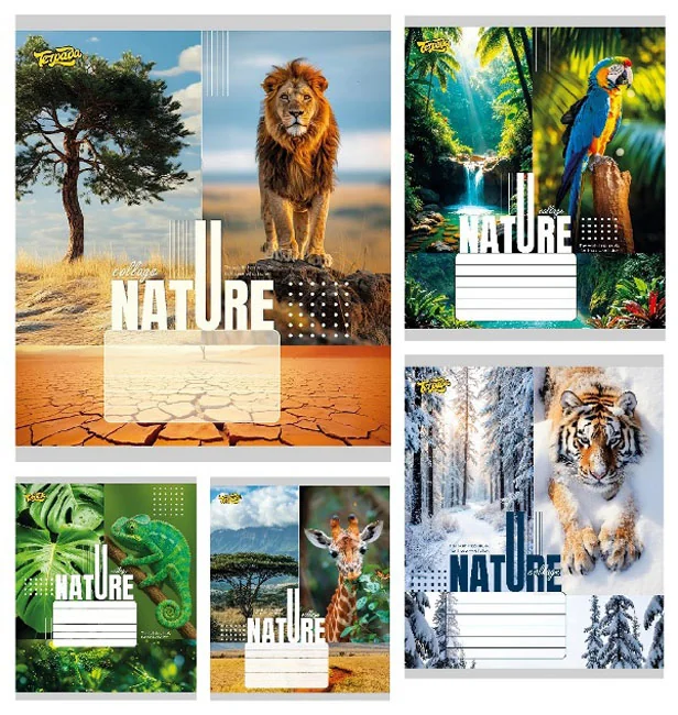 Зошит 36 аркушів лінія Nature