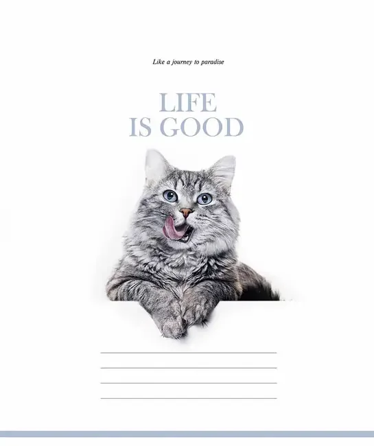 Зошит 48 аркушів клітинка Life Is Good, Школярик — фото 3